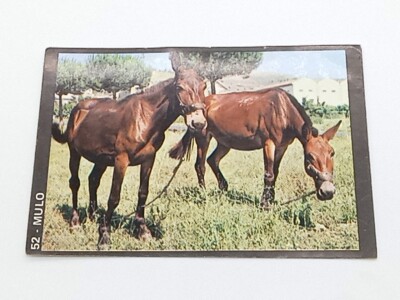 Living Nature (1976) Figurine No. 52 Mule Ed.Ed. Italia mia Nuova Velina  