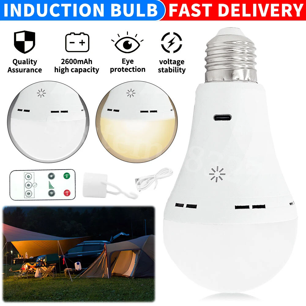 Battery powered light bulbs with remote deals
