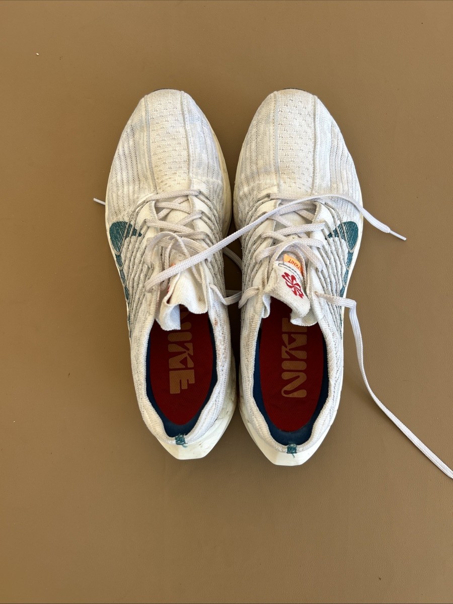 Nike Pegasus Turbo Next Nature Men display picture 1