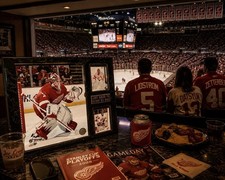 Jimmy Howard Detroit Red Wings Framed 2 Card Display 2010-11 Donruss SP