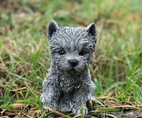 Frostfeste Steinfigur Yorkshire Terrier Gartenfigur Hund Steinguss Wetterfest