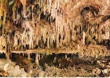 AVEN de la FORESTIERE 2184 room nicole the stalagmite floor