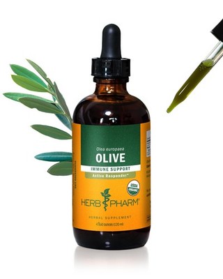 Herb Pharm Certified Organic Olive Leaf Liquid Extract for Immune System Support