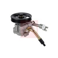 Nissan Pathfinder III R51 2005 Servolenkungspumpe Apec Mit Riemenscheibe