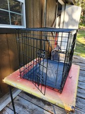 Foldable Metal Wire Dog Crate with Tray, Double Door, Divider 24"x18"x21"