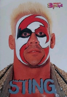 WCW The Icon Sting Bravo Star Card WWE ECW WCW