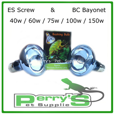 neodymium basking bulb