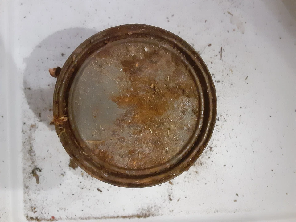 Vintage Glidden Scrubbable Latex Paint 3407 cream off white 90%+ of 1 Qt remain - Image 4 of 4