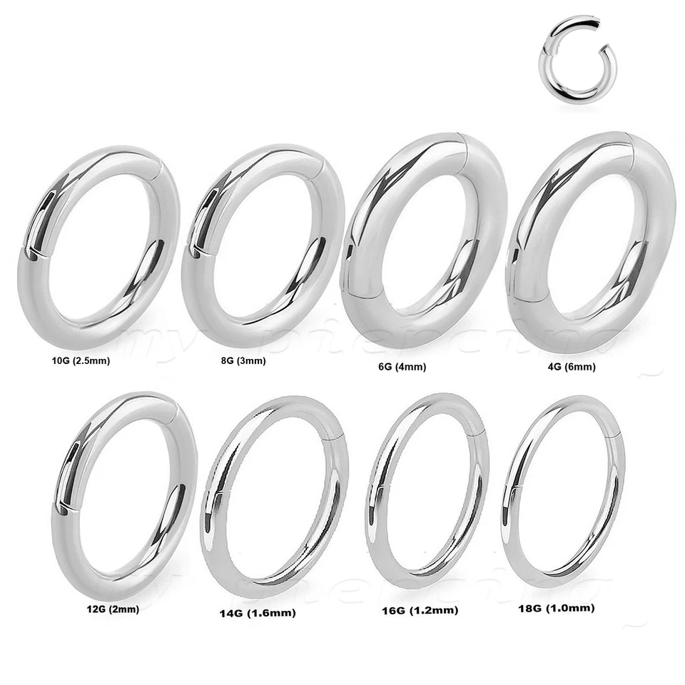 16g 14g 12g 10g 8g 6g 4g 2g Hinged Segment Ring Steel Ears Lip Nose Septum Ring - Image 4 of 4