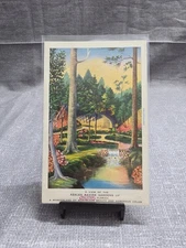 Vintage Azalea Ravine Gardens Palatka Florida Linen Postcard