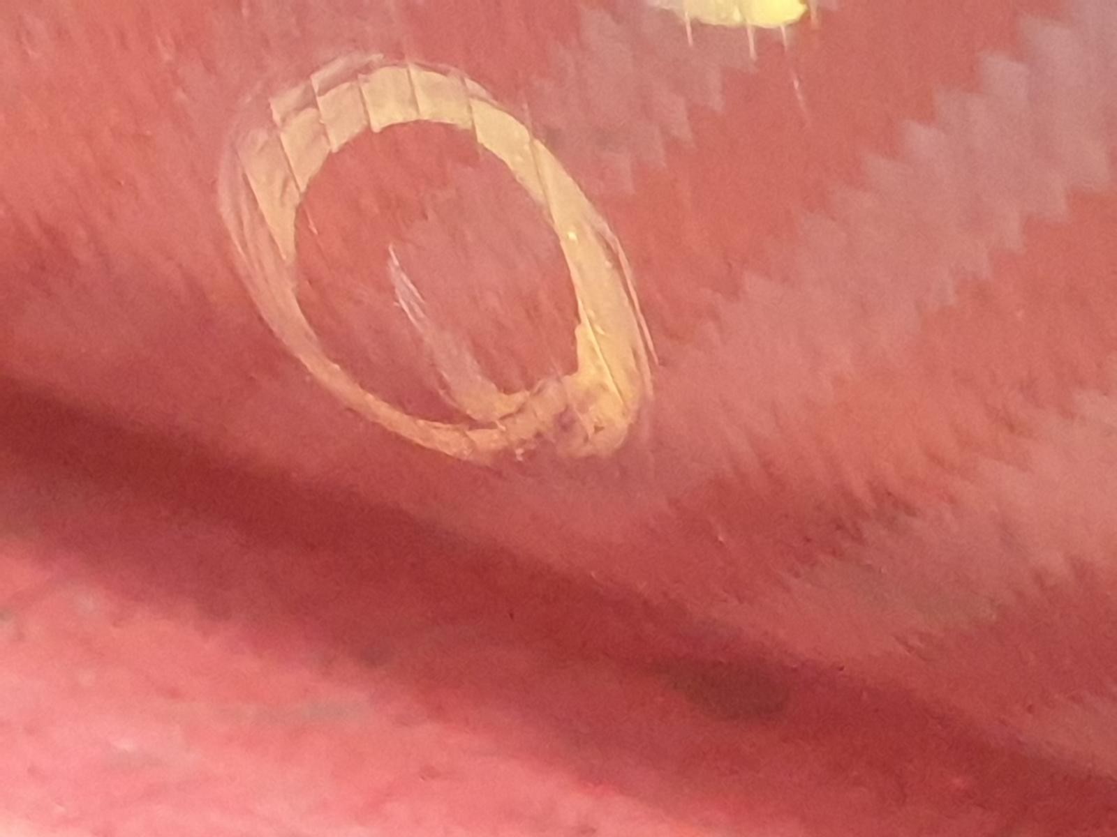 Picture 19 of 24