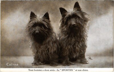 CPA Cairns Hunde (1388369)