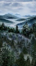 Pine Tree Fabric Misty Mountain 24" Panel Cotton Timeless Treasures CD3527
