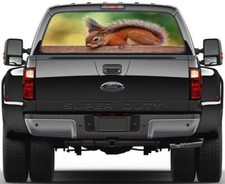 Squirrel Rear Window Decal Graphic Sticker Car Truck SUV Van Animals 498