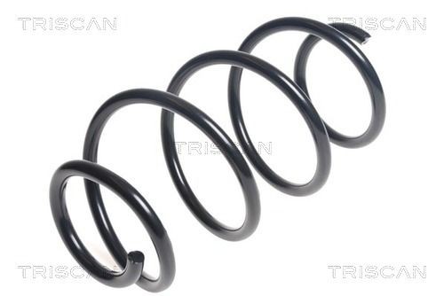 Triscan Fahrwerksfeder 8750 43107 FüR Hyundai-image