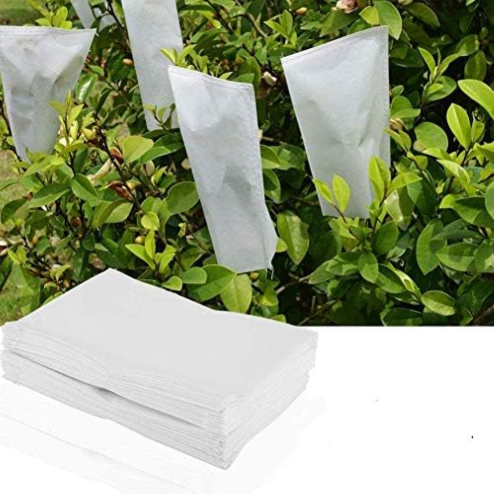 Impollinazione del giardino Borse pergamena Zanzariere Borse protettive nette pe