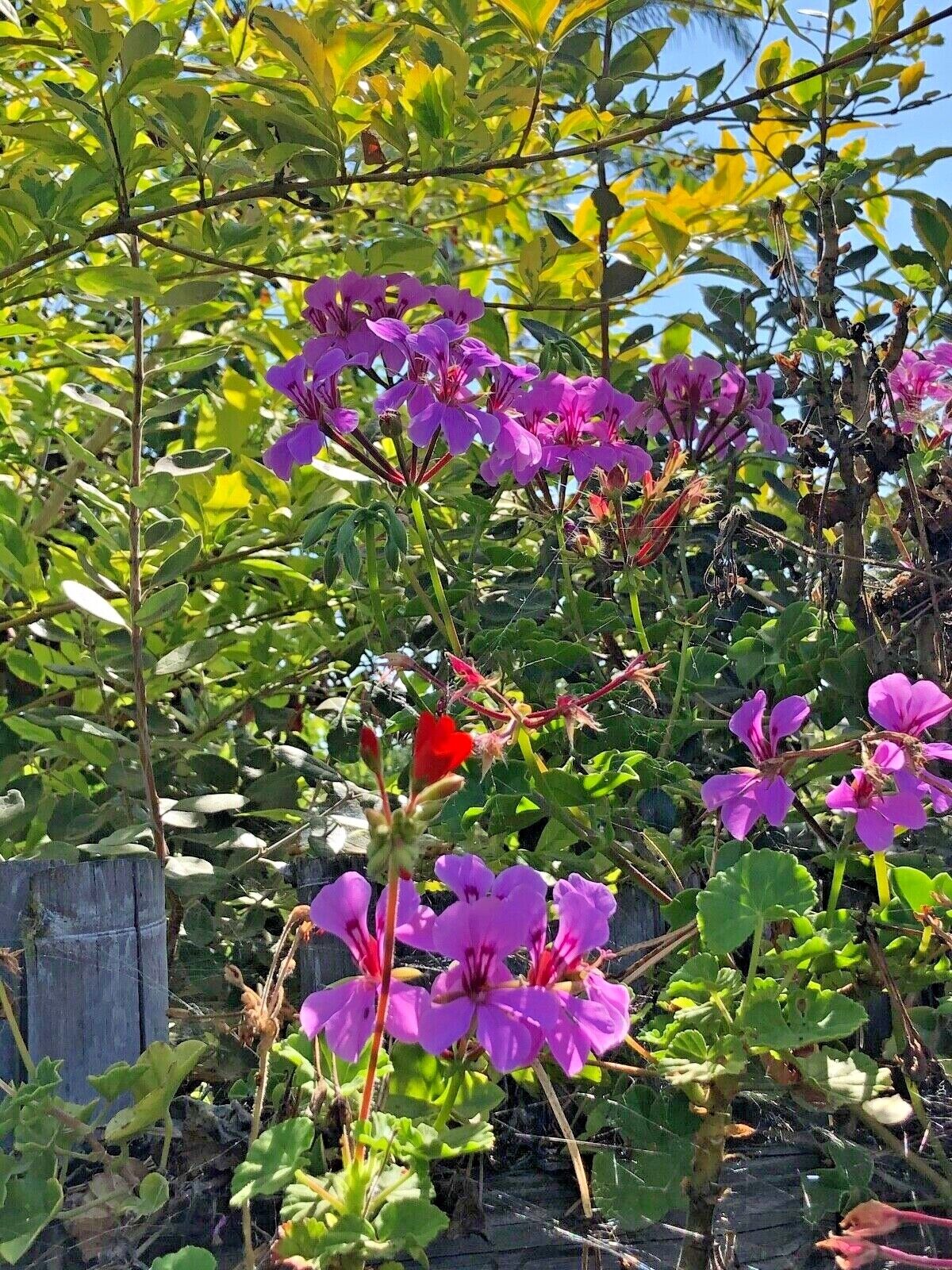 Bild 1 von 5