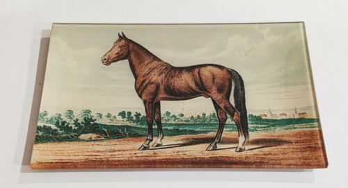 John Derian Rectangle Horse Decoupage Signed Tray 7&#034; x 11.5&#034; Glass 