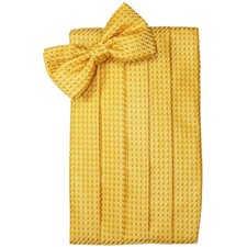 Men's Gold Poly Woven Bow Tie and Cummerbund Set