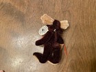Boyds Bears Wuzzies Moose - Talbot F. Wuzzie — photo 9
