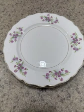 Set Of Four Vintage Vanity Fair ‘Thistledown’ Pattern Plates 10” By 10”