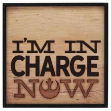 Disney Star Wars I'm in Charge Now Rebel Alliance Logo Wall Decor New Free Ship