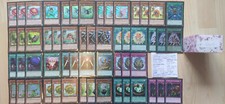 Naturia Terra Pianta Insetti Yu-Gi-Oh! Mazzo + Custodie
