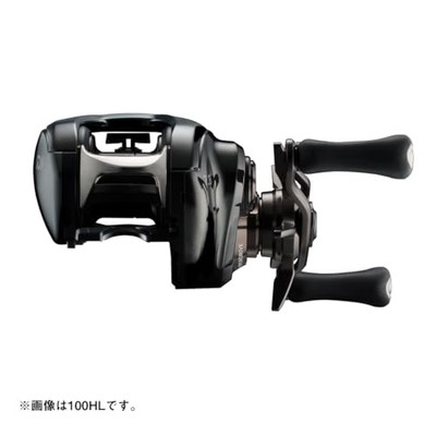 Daiwa SV TW 100HL Bath Bait Reel 24STEEZ (2024 Model)NEW | eBay