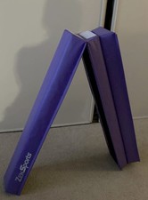 9FT Balance Beam Extra Firm Foam Anti-Slip Bottom Gymnastics Equipment Purple