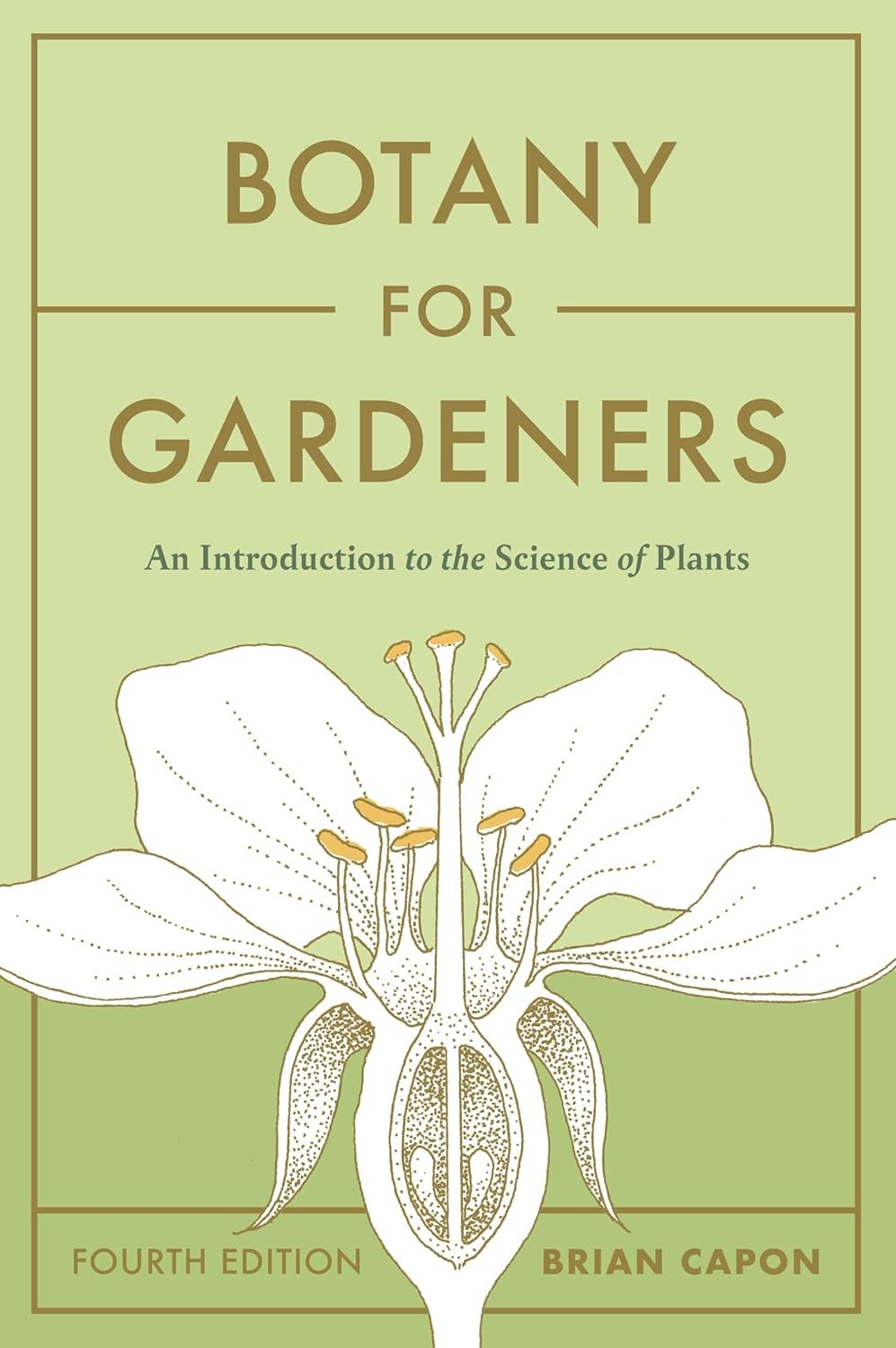 Botany for Gardeners, Fourth Edition: An Introduction by Brian Capon PAPERBACK - Image 8