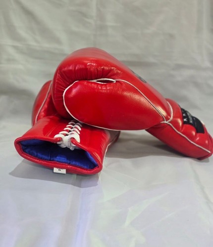 Maestro Boxeo - Picture 7 of 10