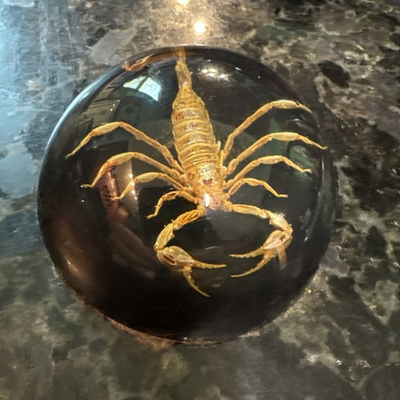 #ad #ad Vntg Real 3.5quot; Scorpion Insect Clear Lucite Dome Paperweight Felt Bottom RETRO $17.77