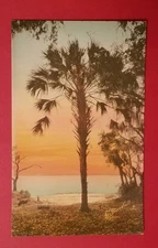 E G Barnhill Florida Sunset FL orig NOS color art Water Coast Ocean Palm 8 X 5
