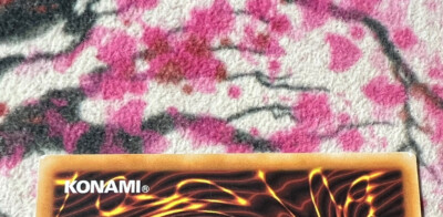 1x (VLP) *ITALIAN* Divine Dragon Knight Felgrand SHSP-EN056 Secret