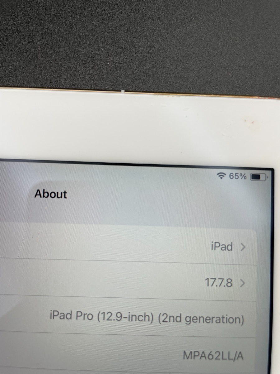 Apple iPad ゴールド(第2世代12.9インチ256GB)+Pencil 12 9インチ第2世代 iPad Pro Wi-Fi 256GB ゴールド色 + Apple