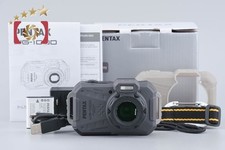 RICOH Pentax WG-1000 Gray Waterproof Action Camera Used Near Mint Accessories Ja