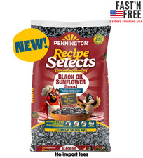 Pennington Recipe Selects Black Oil Sunflower Seed Dry Wild Bird Food, 10 lb