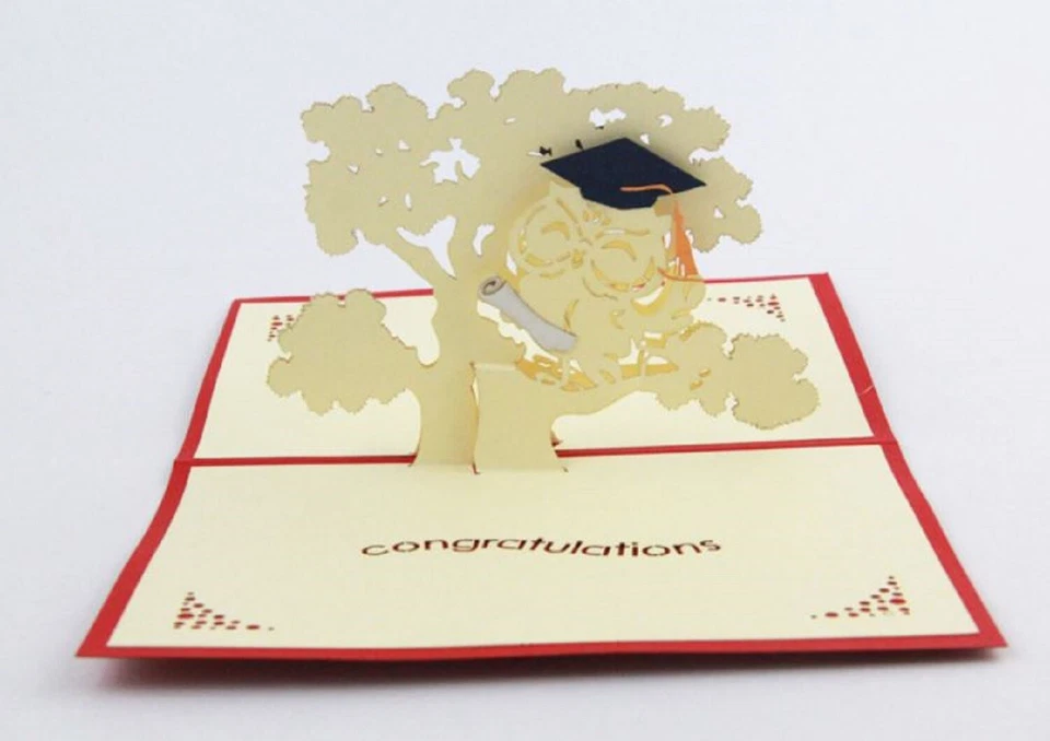 BC Worldwide Ltd handmade 3D pop up card Owl graduation congratulations hats off - Image 4 of 4