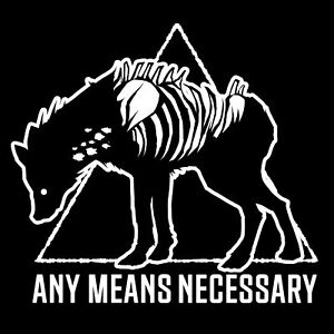 RedFall x Any Means Necessary – Any Means Necessary Clothing