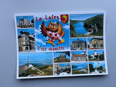 CPM LA LOIRE C EST CHOUETTE