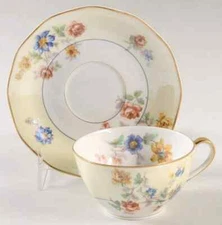 Theodore Haviland Limoges France "My Garden" cup and saucer
