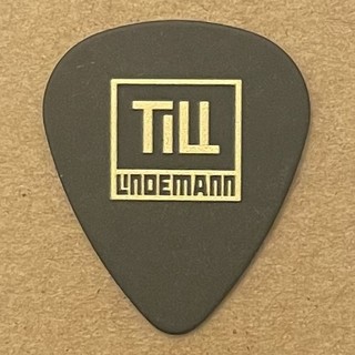 Till Lindemann Momo III 2025 Tour Stage Guitar Pick Rammstein Meine Welt