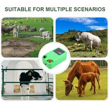 Farm Electric Fence Energiser 12V for Horses Sheep Shepherd Range Fencing Unit