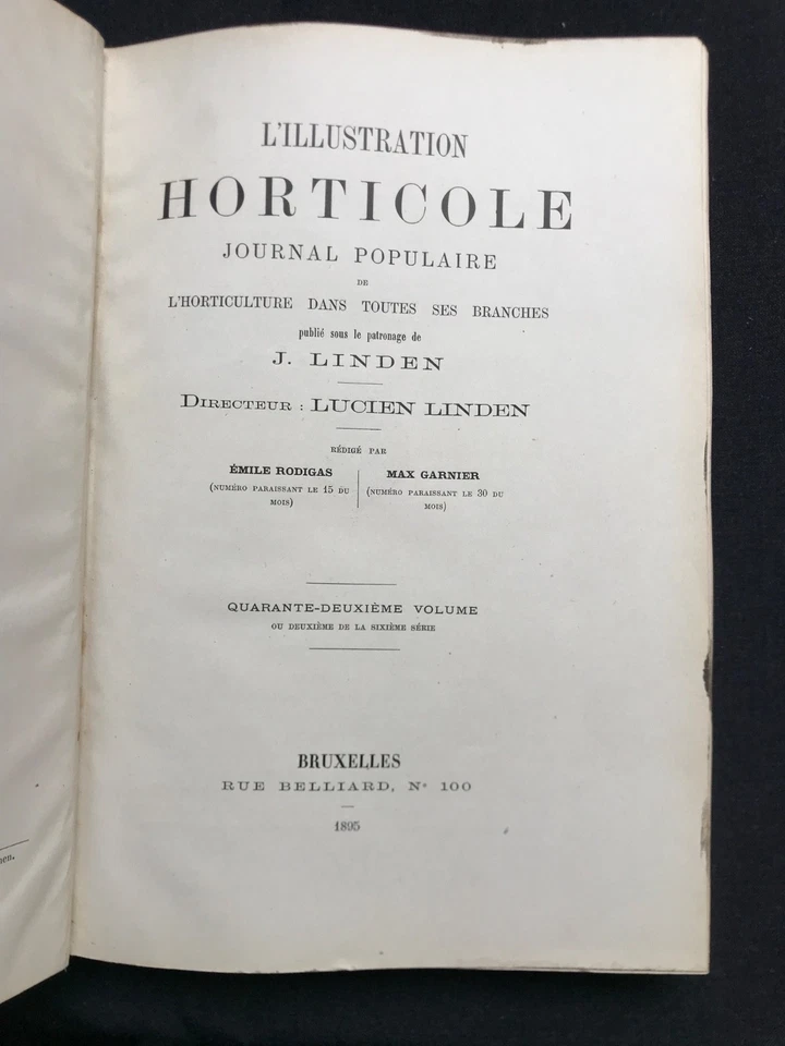 1855 L'illustration horticole par Linden - botanique horticulture - Planches - Photo 4/4