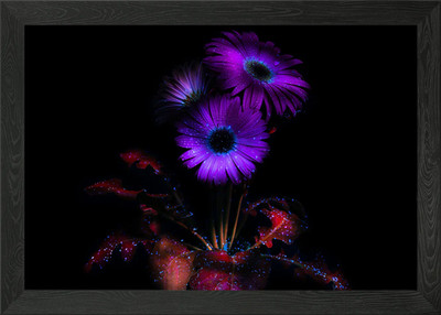 Lila Blumen leuchten AM gerahmtes Wandbild Poster Leinwanddruck Bild