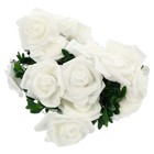 Bild 8 von 12