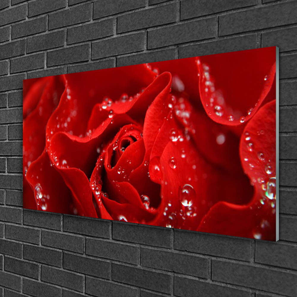 Tableau sur Plexiglas 100x50 Floral Rose déco chic pour salon moderne