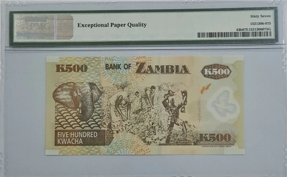 2003 Zambia 500 Kwacha PMG67 EPQ SUPERB GEM UNC【P-43b】 - Image 2 of 4