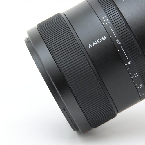 SONY FE 100mm F/2.8 STF GM OSS SEL100F28GM (for SONY E mount) #312 - Picture 10 of 12