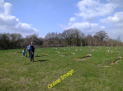 Foto 12x8 Ham Down Natural Woodland Burial Ground Fiddleford A place amon c2013